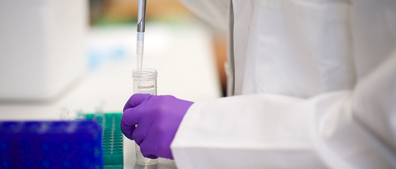 Scientist works at bench