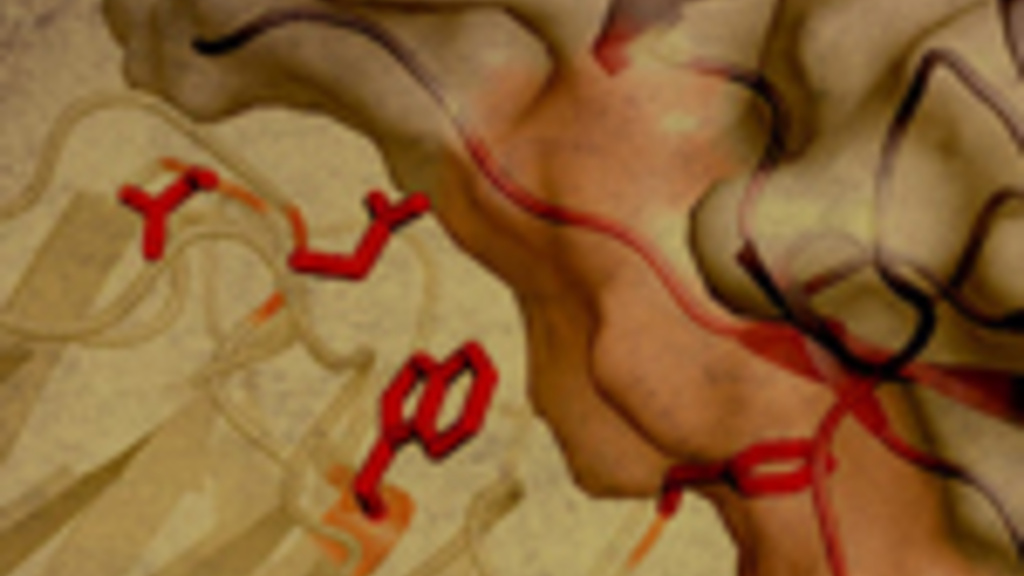 Biophysics