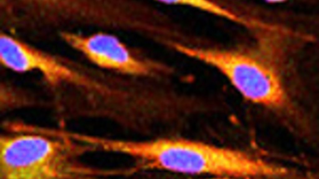 Integrative Physiology